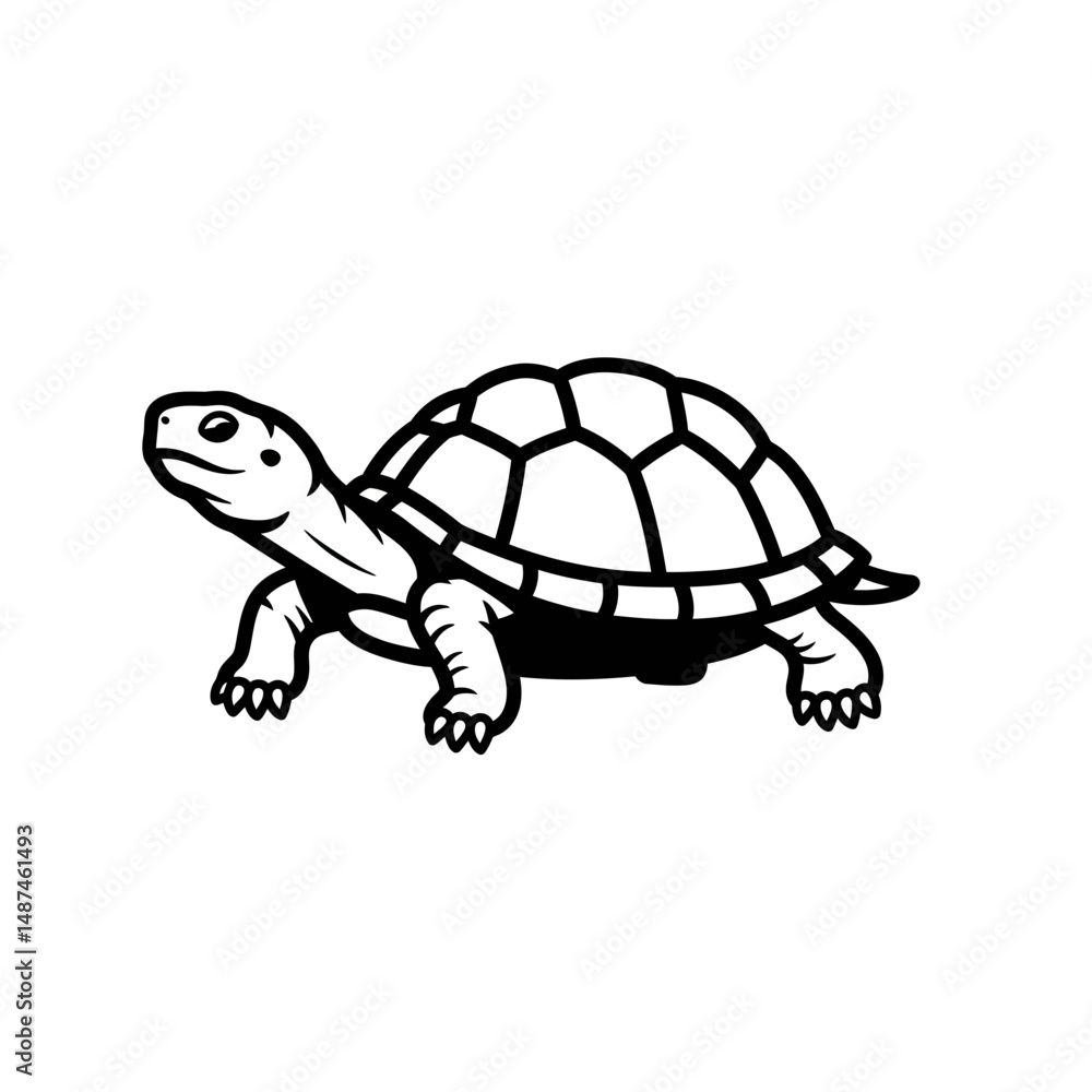 Fototapeta premium Tortoise Illustration: A detailed, minimalist illustration of a tortoise, depicted in black and white, showcasing the animal's shell and limbs.