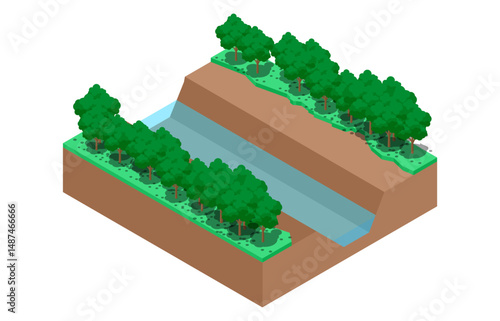 isometric illustration of tropical forest water, vector illustration isolated on white background