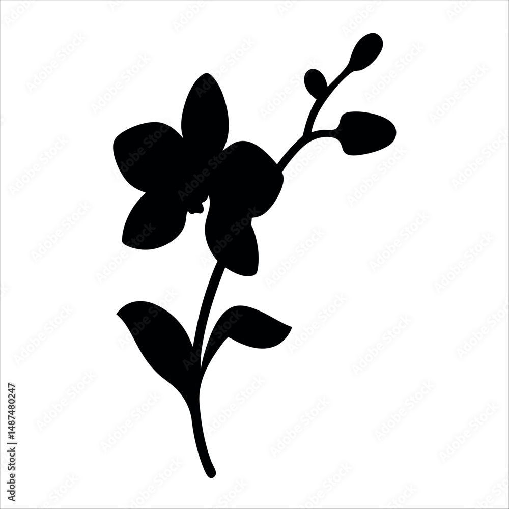 Obraz premium Elegant black silhouette of an orchid flower with emerging buds on white