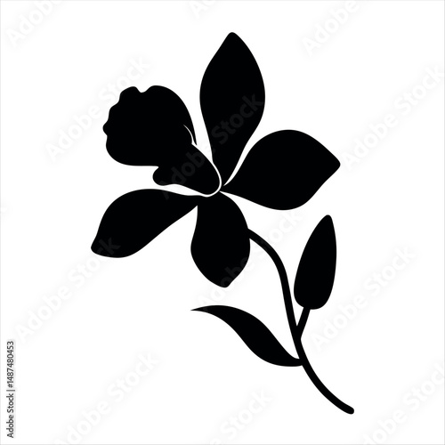 Elegant black silhouette of a blooming orchid flower against a white background