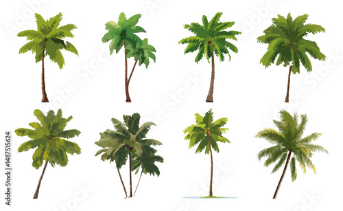 Set of Coconut palm tree  Flat Vector Illustration on Transparent Background