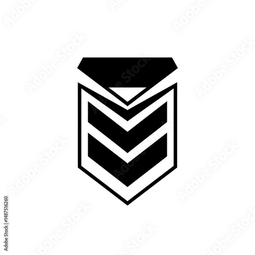 Military Rank Insignia 