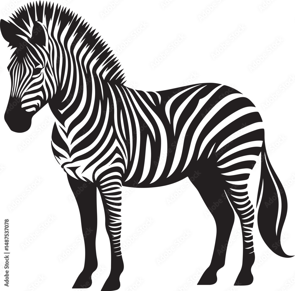 Obraz premium a zebra vector