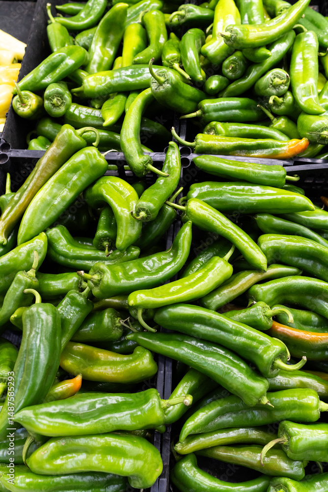 A market shelf full of Serrano peppers A market shelf full of Serrano peppers