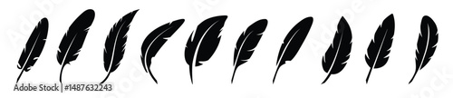 Feathers isolated on white. Collection of vector feather black silhouettes. vector