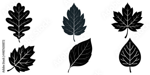 green leaf icons set, Set of green leaf icons. Green color. Leafs green color icon logo. Leaves on white background. Ecology. Vector illustration, Leaves Icon - Vector Stock Illustration. Leaf Shapes 