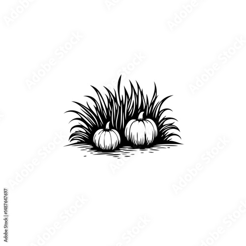 Engraved autumn harvest: Two pumpkins nestled in rustic foliage monochrome design