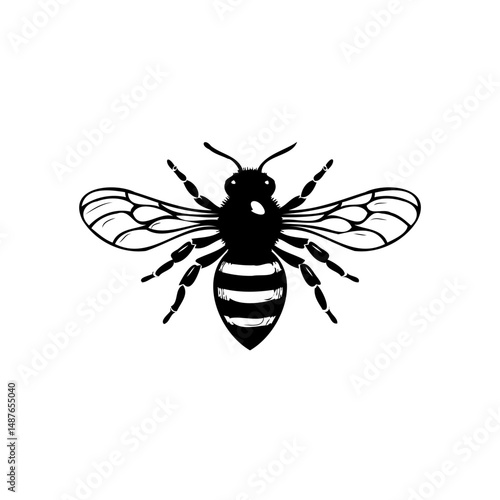 Striking depiction of a bee in monochrome showcasing distinct body segments