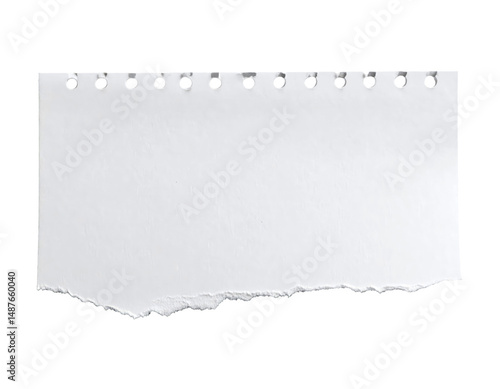 Torn paper with distressed edges and a textured perfect scrapbook isolated cut out on transparent png