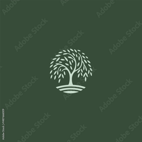 Willow tree logo in graceful and minimalist illustration style.