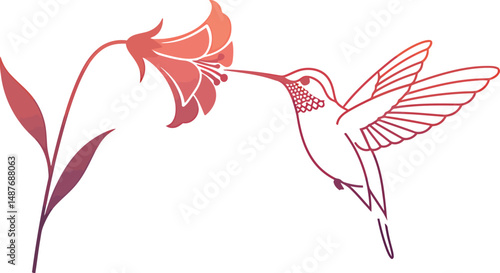 Minimalist Hummingbird Vector Design