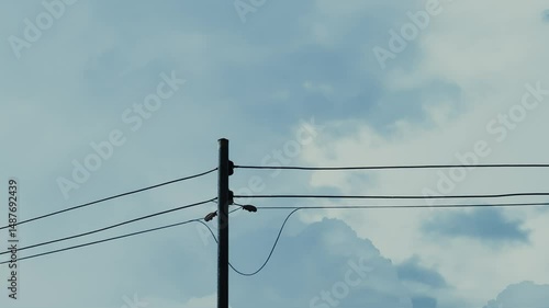Wallpaper Mural Electric Pole and Flying Bird with Cloudy Sky Background Torontodigital.ca