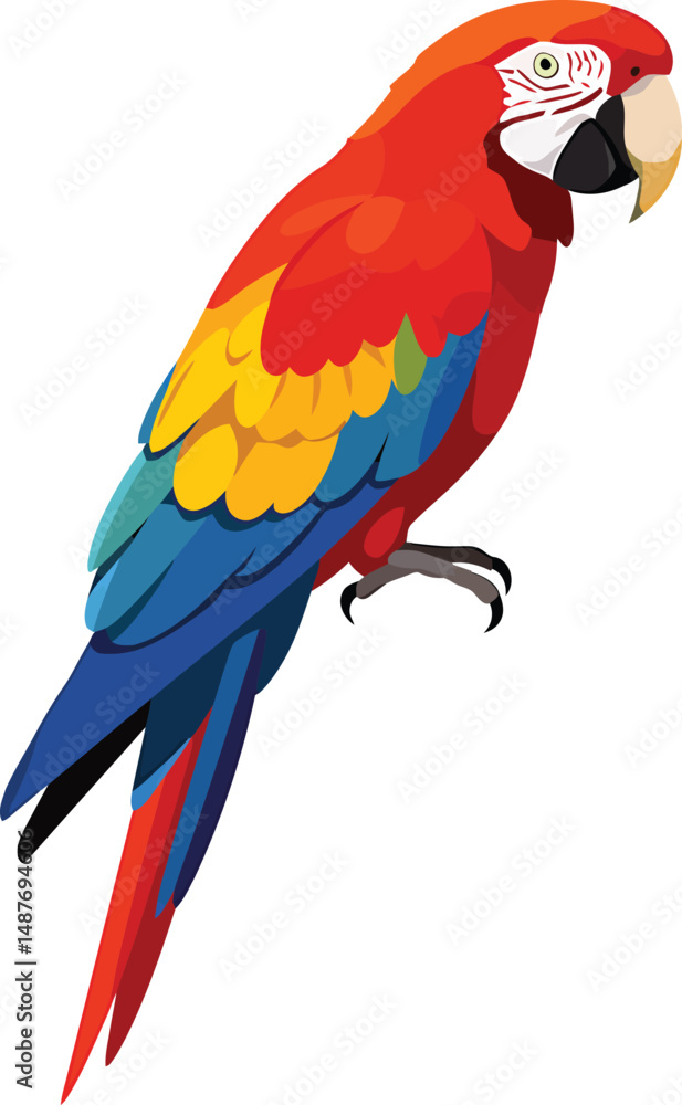 Fototapeta premium Minimalist Macaw Vector Design