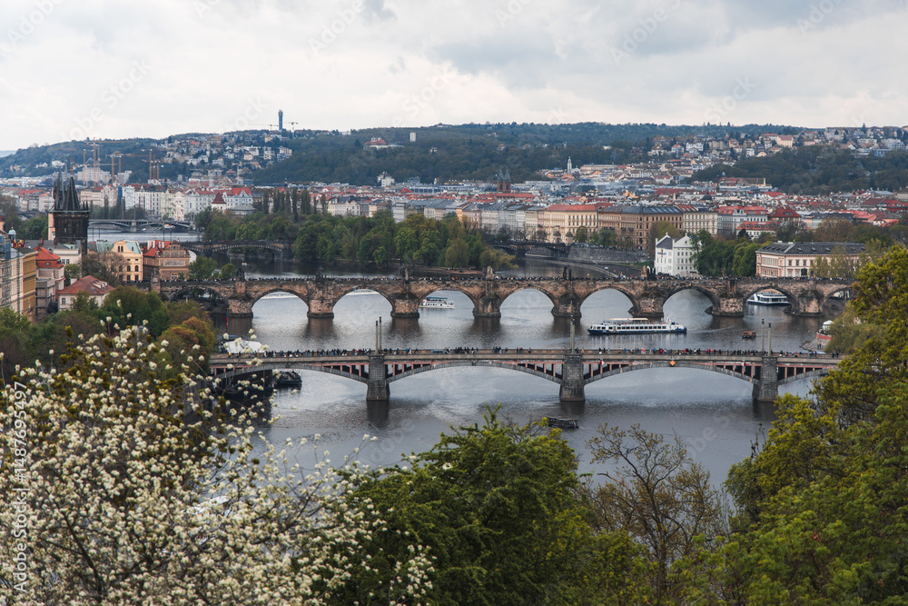 Fototapeta premium charles bridge prague panorama over river
