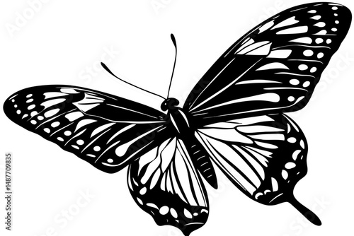 Artistic butterfly illustration black and white transparent for design projects, butterfly, insect, moth, animal, nature, fauna, vector, illustration, design, art, graphic, silhouette, monochrome, bla