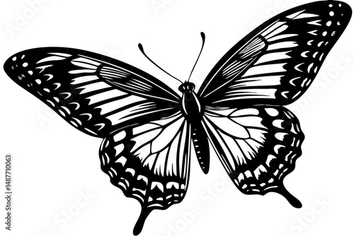 Butterfly landing in three quarter view silhouette design vector art, butterfly, landing, silhouette, vector, design, nature, insect, wings, black, white, animal, illustration, art, graphic, isolated
