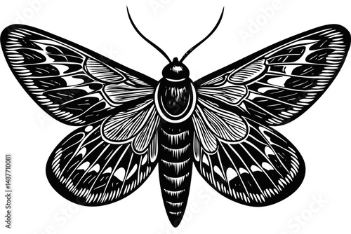 Detailed black and white moth illustration with transparent background, moth, insect, butterfly, wings, black and white, vector, silhouette, art, design, illustration, graphic, decorative, nature, ent