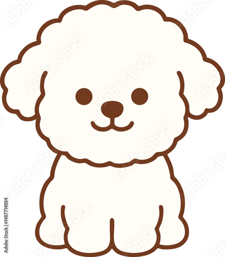 비숑강아지