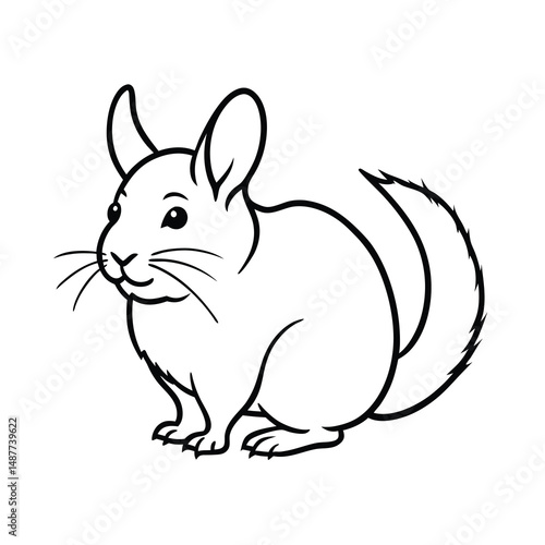 chinchilla pet sketch drawing vector
