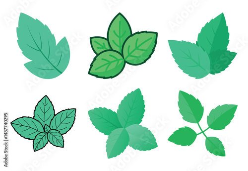 set of green mint leaves vector with white background