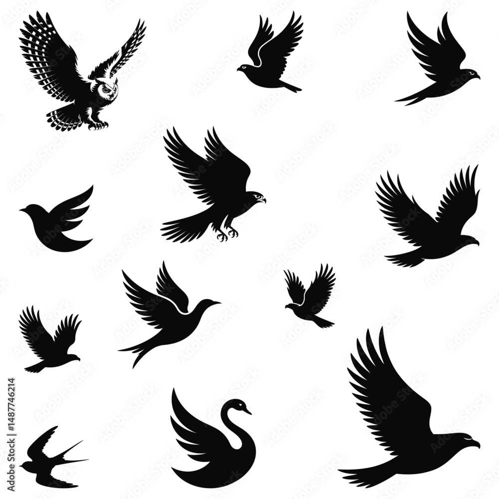 Fototapeta premium set of birds