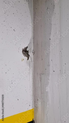 Water stains on a concrete wall of an underground garage, pipe malfunction, vertical clip