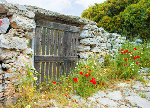 Rustic stone wall and wooden gate surrounded by spring wildflowers in a Mediterranean village