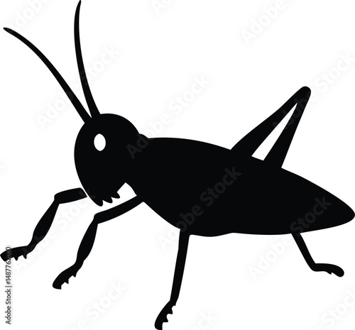 A black bug with a long antennae. It is walking on the ground. It is a grasshopper