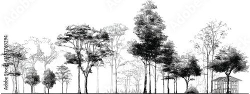 Architectural Drawings Minimal style cad tree line drawing set of Set of hand drawn architect trees. Tree Sketch Architectural illustration landscape
