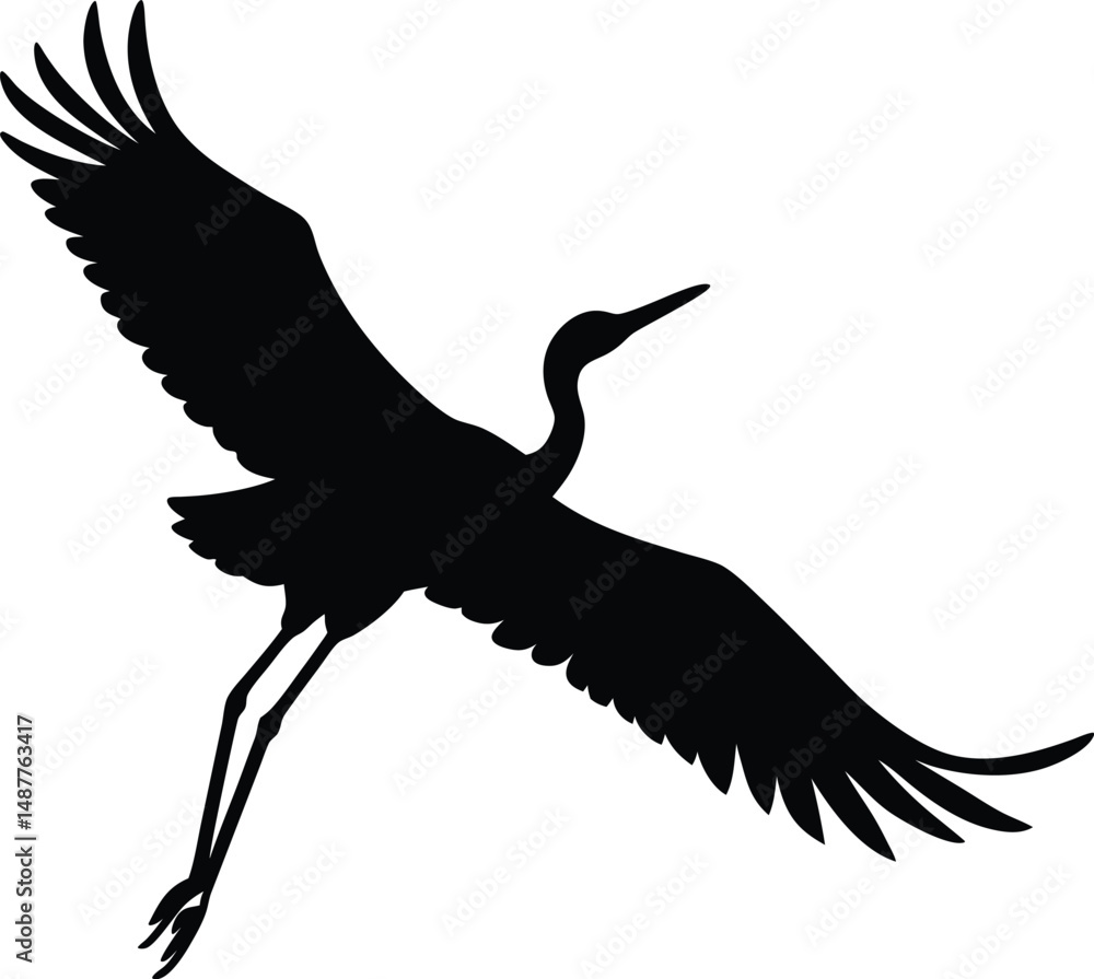 Fototapeta premium A black and white bird flying in the air. The bird is a crane