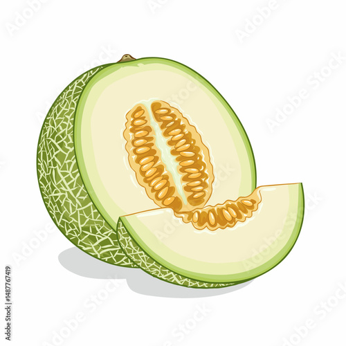 melon isolated on white background