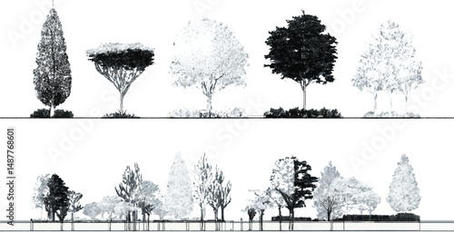Architectural Drawings, Minimal style cad tree with roots line drawing and Tree Grunge vector, view, set of section wetland forest outline for landscape design drawing.