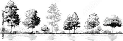 Tree Grunge vector Architectural Drawings, Minimal style cad tree line drawing, Minimal style CAD tree line drawing, side view, a set 