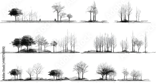 Tree Grunge vector Architectural Drawings, Minimal style cad tree line drawing, Minimal style CAD tree line drawing, side view, a set 