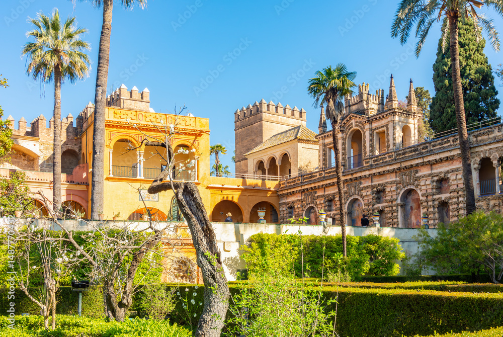 Fototapeta premium Seville Alcazar gardens in Andalusia, Spain
