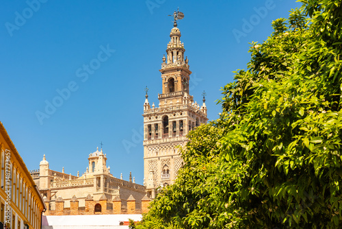 Giralda tower of Seville cathedral and courtyard of orange trees, Spain