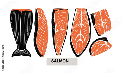 Modern vector illustration of various salmon fish cuts , easily scalable and editable.