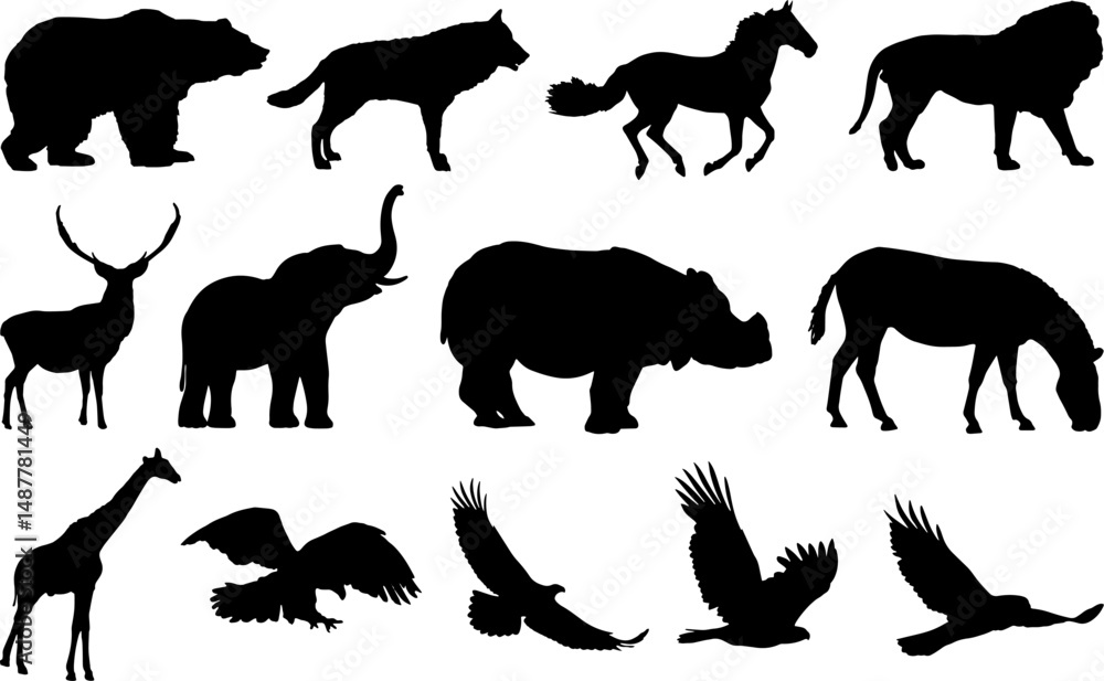 Fototapeta premium set of wild animal's silhouette in black vector illustration