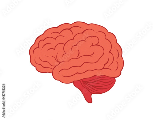 Anatomical illustration of the human brain, highlighting key areas and lobes.