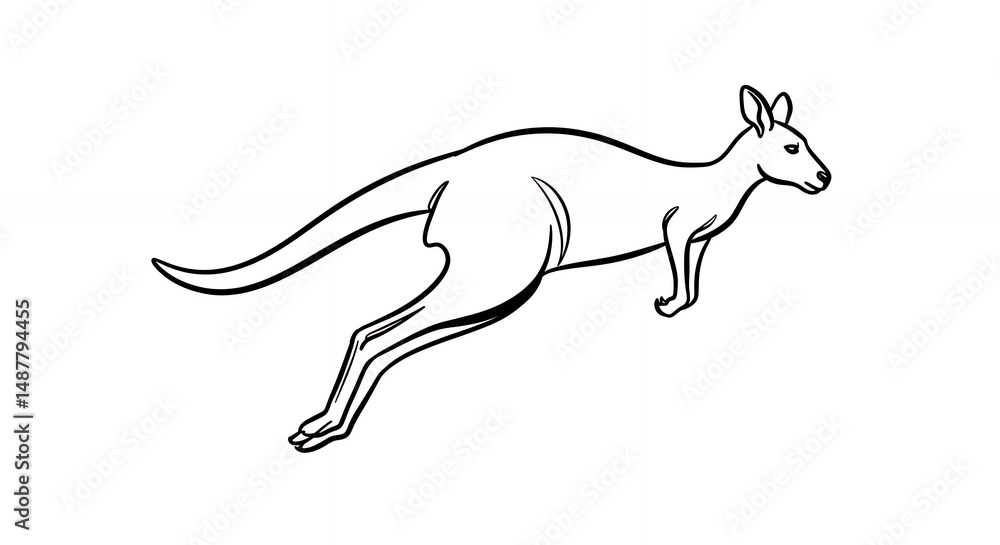 Obraz premium Kangaroo line drawing illustration