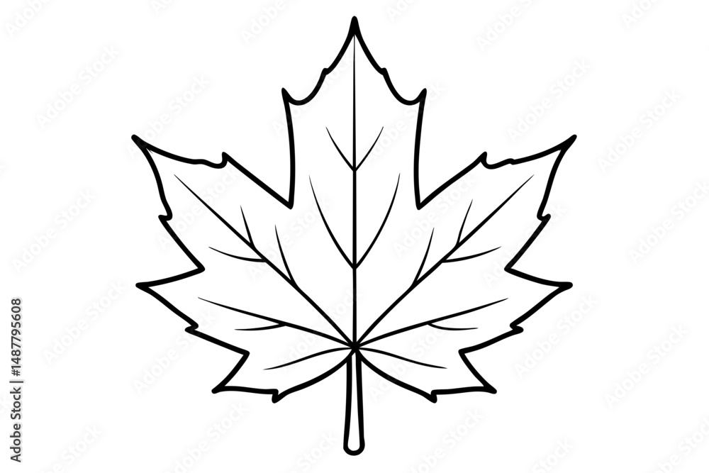 Obraz premium maple leaf silhouette line art vector illustration with a white background