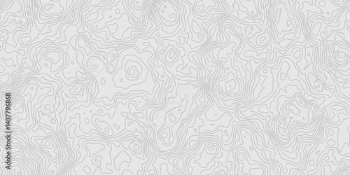 Geographic World Topography map grid abstract. Topo map with elevation. Contour map. Abstract topographic contour map on white background concept.