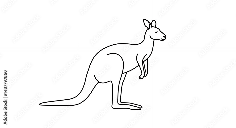 Fototapeta premium Line art kangaroo illustration