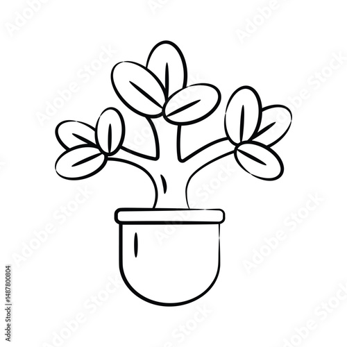 Get a glimpse our hand drawn icon of jade plant