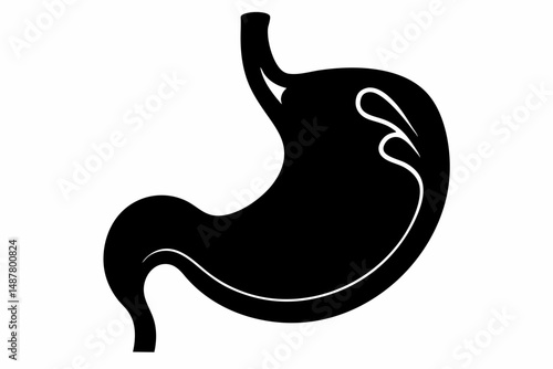 stomach silhouette line art vector illustration with a white background