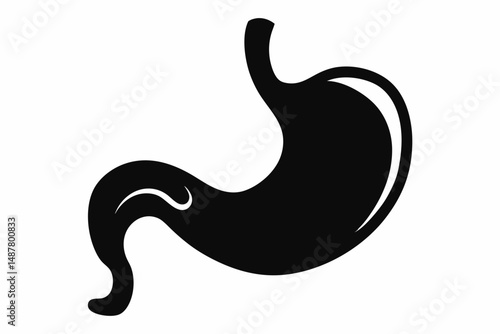stomach silhouette line art vector illustration with a white background