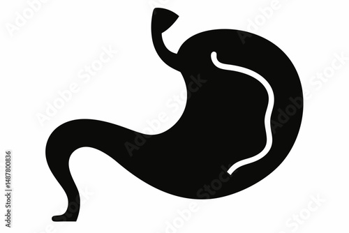 stomach silhouette line art vector illustration with a white background