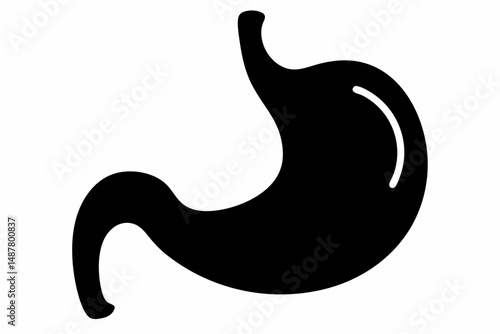 stomach silhouette line art vector illustration with a white background