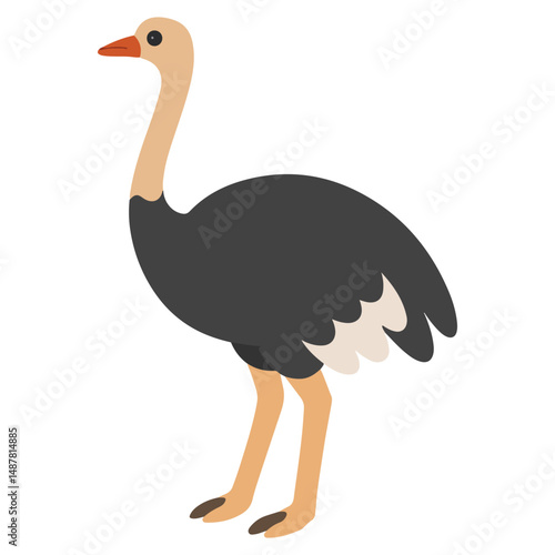 Zoo Ostriches illustration, Colorful Ostriches vector, Colorful Safari Animal Clipart, Animal design sublimation

