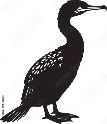 Cormorant high quality black vector